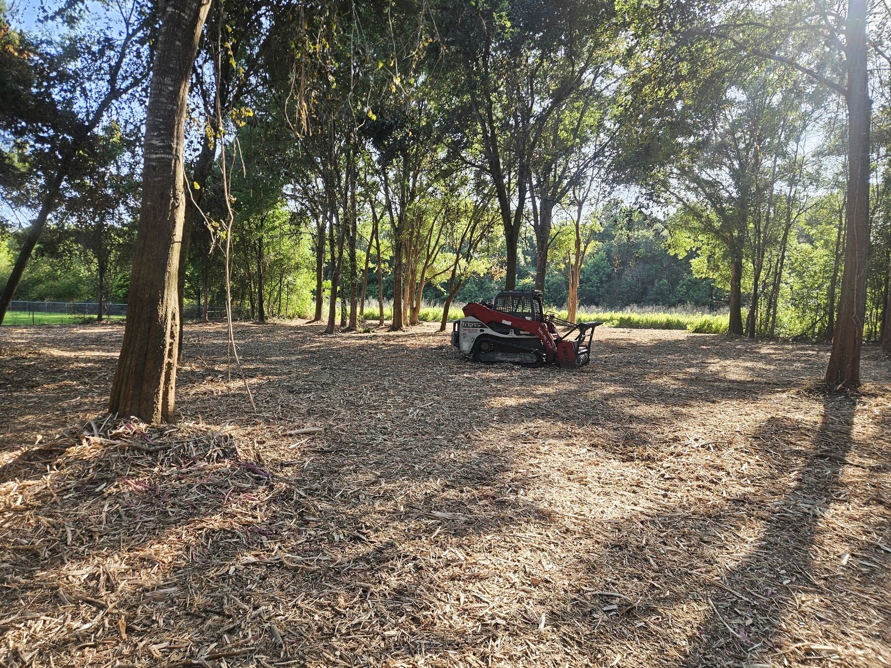 Land Clearing