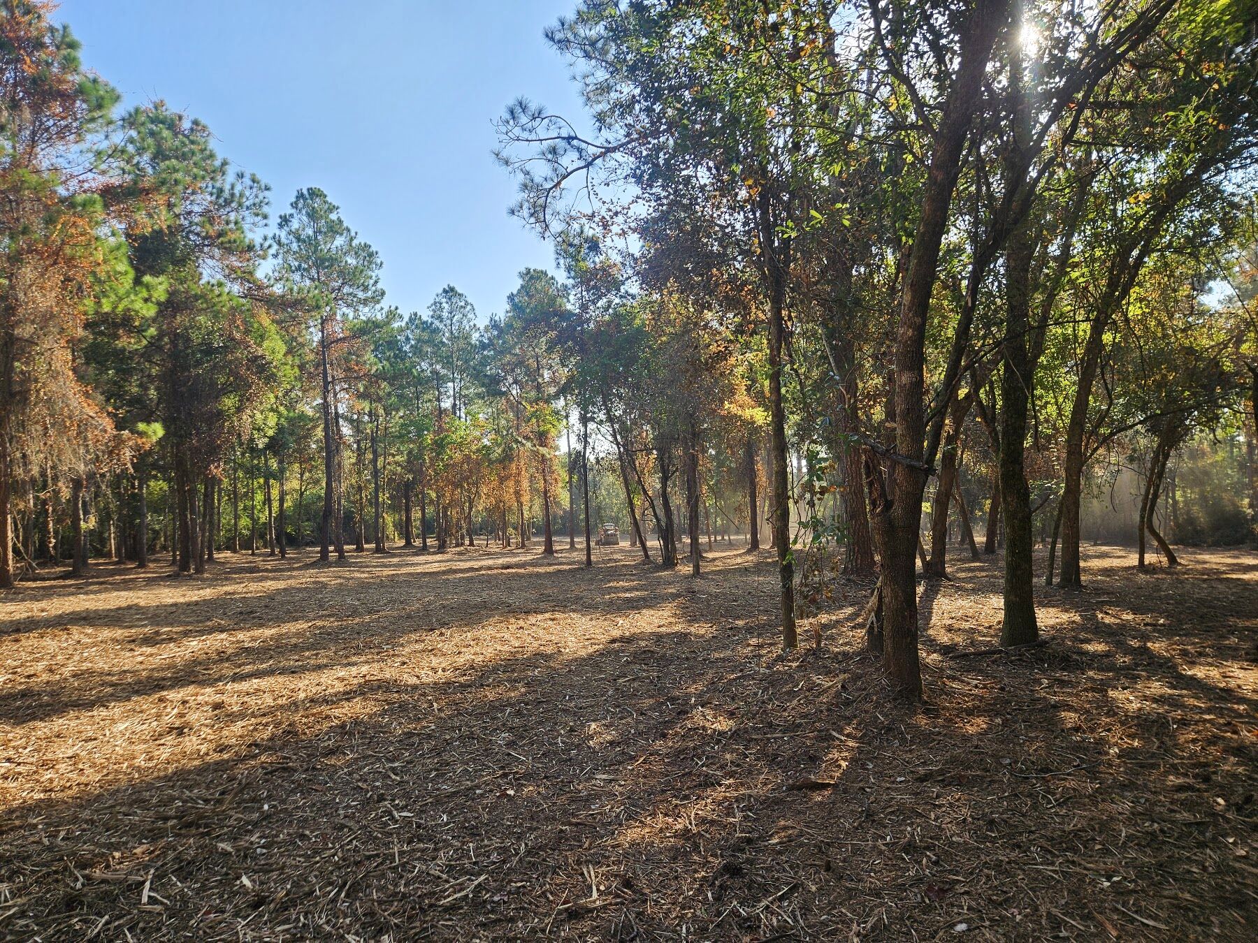 Sandy Creek Services land clearing job