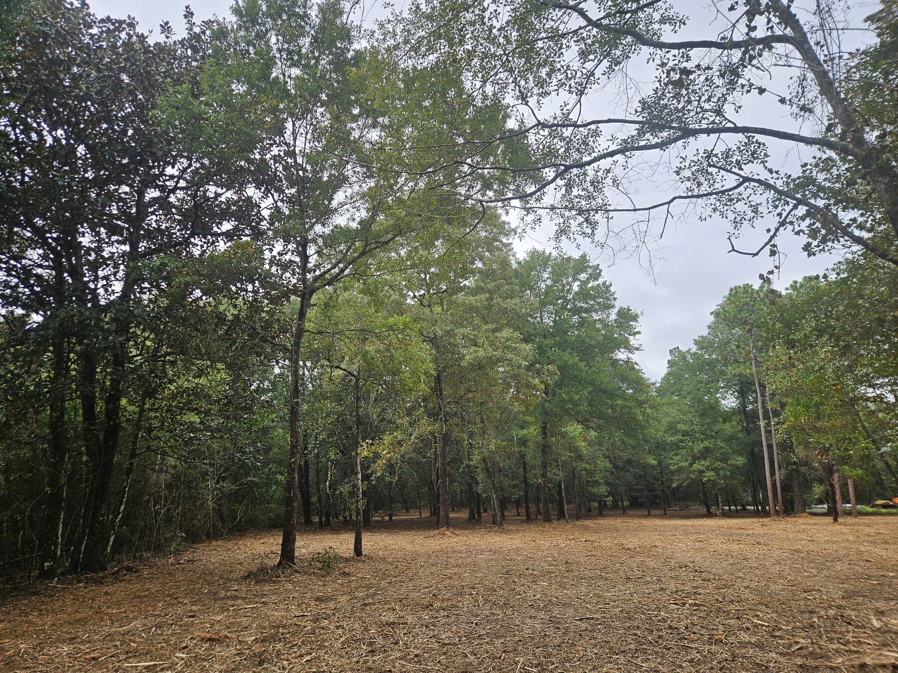 Sandy Creek Services land clearing job